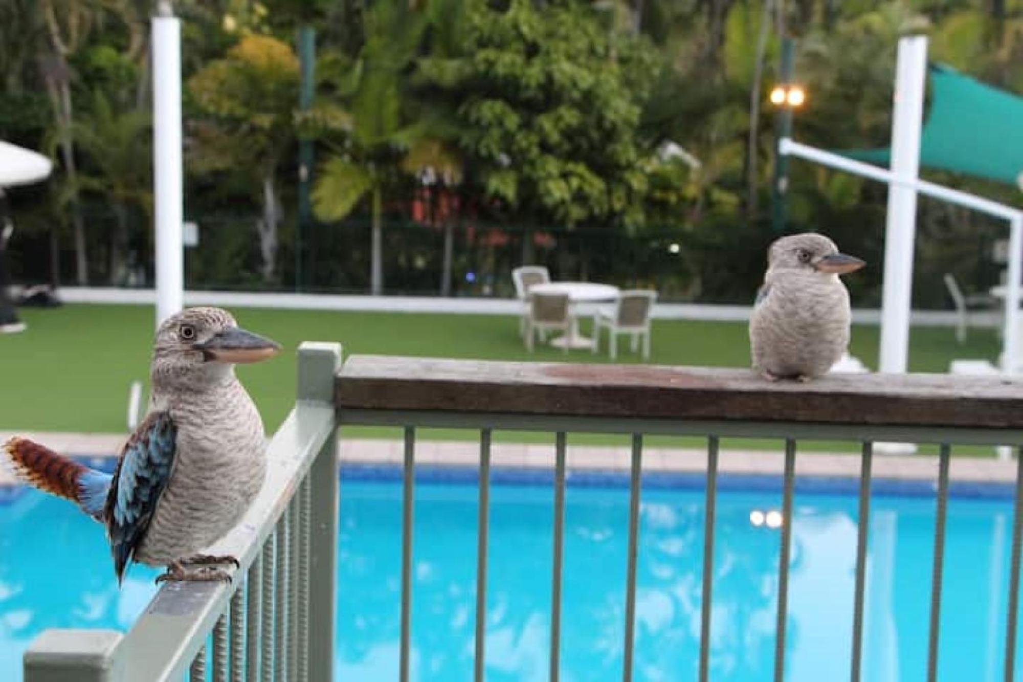 Affordable Island Escape! Queen Studio, Apartment Nelly Bay