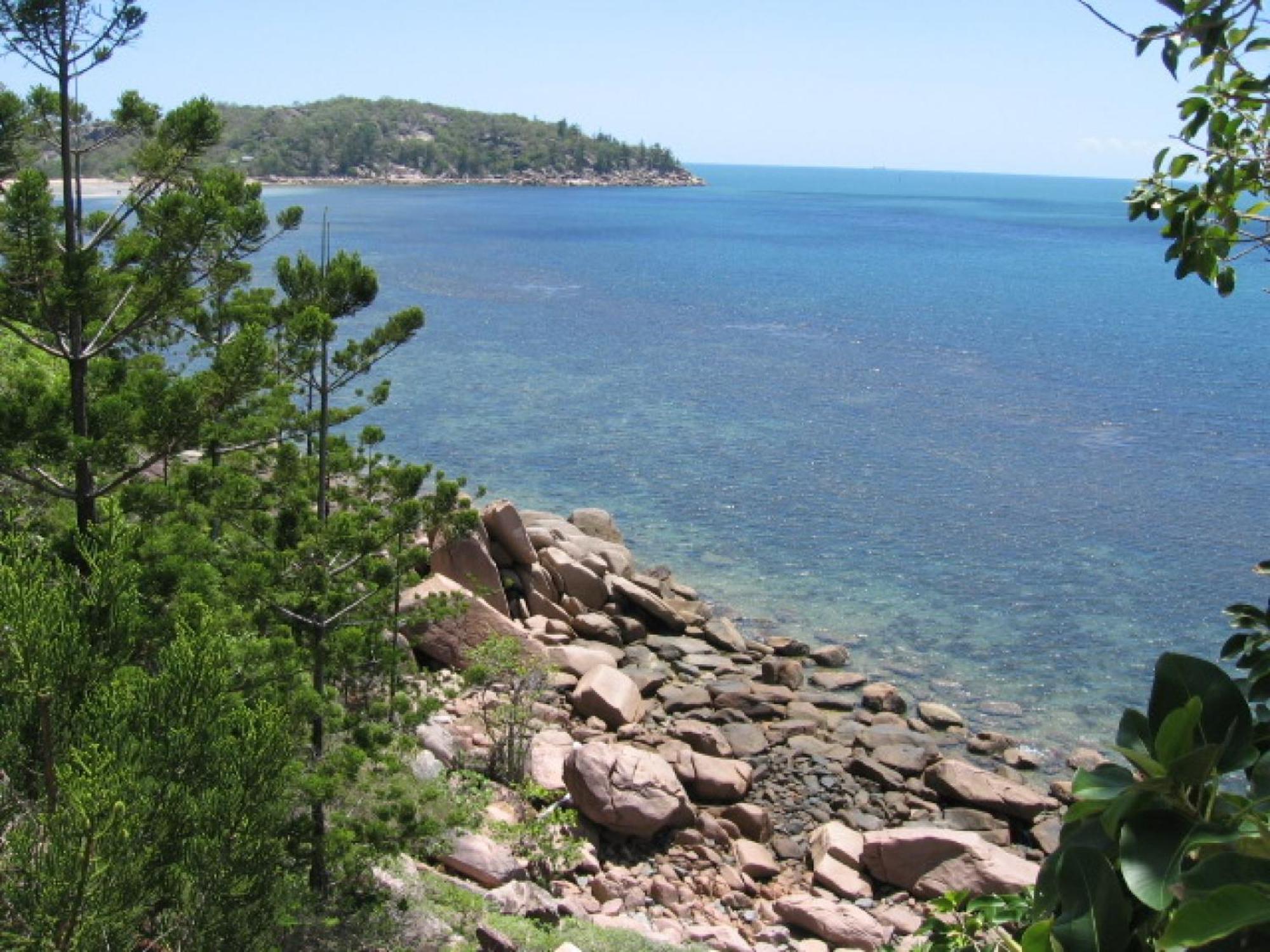 Apartment Affordable Island Escape! Queen Studio, *